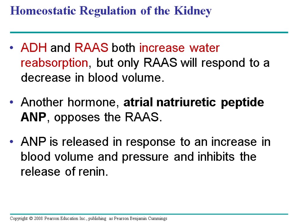 Homeostatic Regulation of the Kidney ADH and RAAS both increase water reabsorption, but only